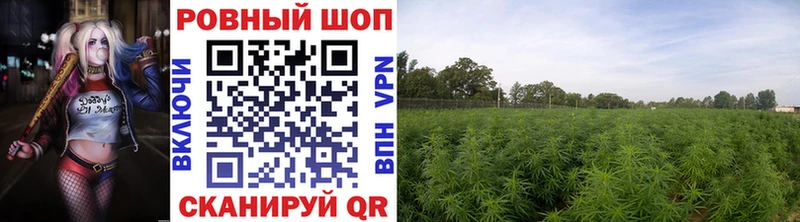 Продажа наркотиков Лысково ГАШ  Марихуана  СК  Меф мяу мяу 