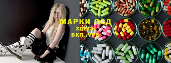 apvp Алзамай