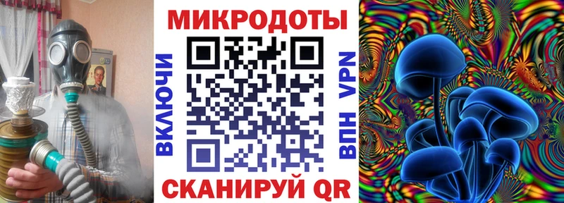 где найти   Лысково  Псилоцибиновые грибы GOLDEN TEACHER 